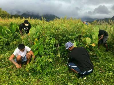 The Hawaii Youth Correctional Facility Has No Girls. Can It Do The Same For Boys?