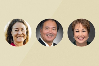 Big Island Redistricting Forces 2 State Senators To Run Against Each Other