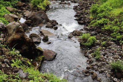 Ua Koho Aku Ke Komikina Home Hawaiʻi I Kekahi Loea Kulekele Wai No Ka Noho Mua O Ka Papa Wai No Maui Hikina