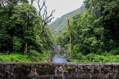 The Fight Over The Future Of East Maui Water Returns To The State Land Board