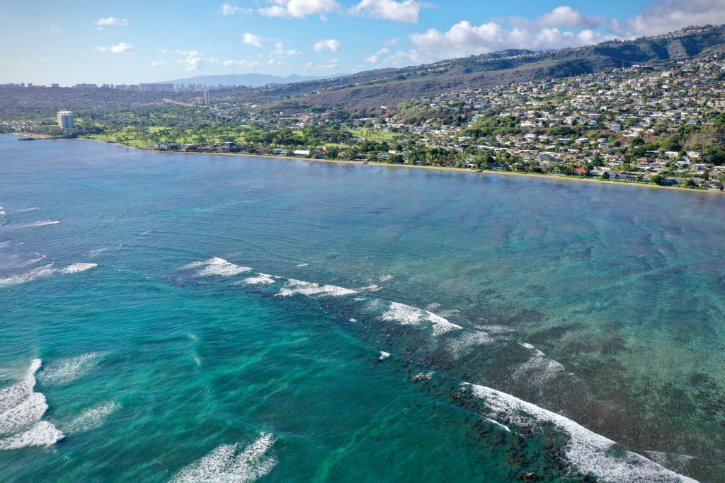 ‘This Is Gold’: An Unprecedented Push To Restore Urban Honolulu Watersheds From Ridge To Reef
