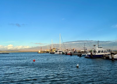 Maui Residents Have More Time To Apply To Help State Manage Nearshore Waters