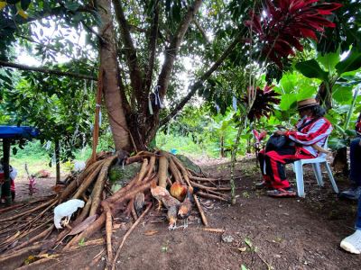 The Talaandig Tribe Of The Southern Philippines Shows That Reforestation Takes A Village