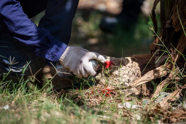 A surveyor with Safe Signals sprays red paint on the ground to mark where his colleagues should dig for potential bombs. 