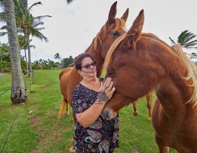 The Scope Of Heavy Pesticide Use On Oahu Is Finally In The Public Domain