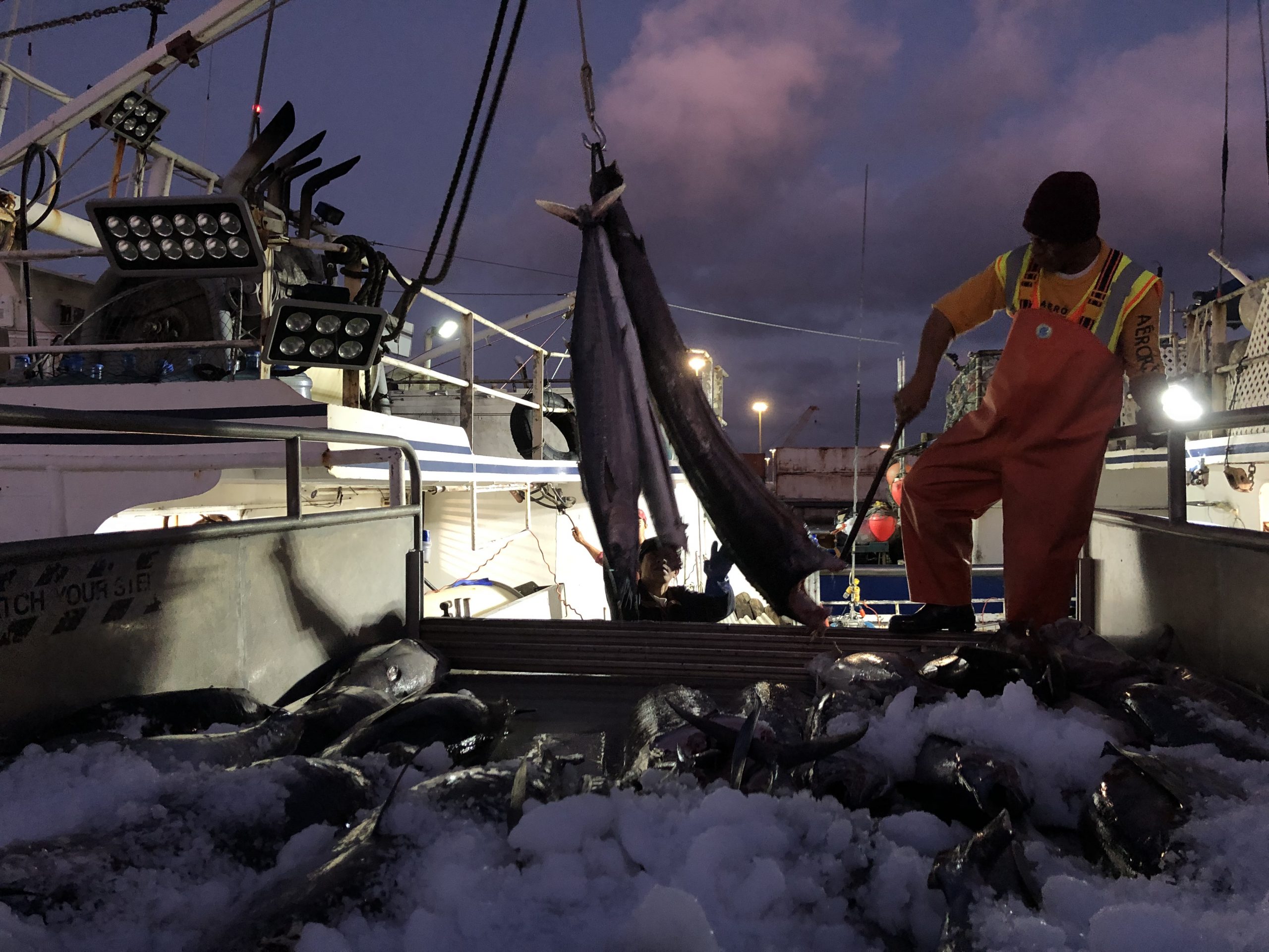 Wespac Stacks Seats With Fishing Industry Players As Marine Protections Erode
