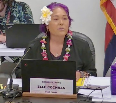 Rep. Elle Cochran: Bills Entered ‘Twilight Zone’ As Legislators Rushed To Adjourn