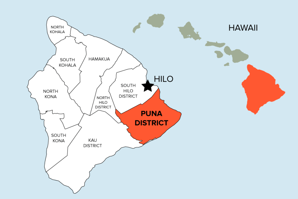 The Puna district on Hawaii island is about 500 square miles, roughly the size of Oahu. (April Estrellon/Civil Beat/2023)