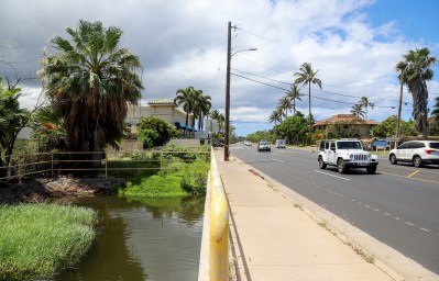 Hawaiʻi’s Wetlands Are Vanishing. This Failed Plan Offers A Warning