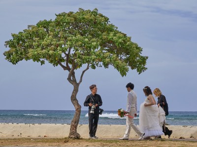 Japanese Travelers Are Steering Clear Of Hawaii