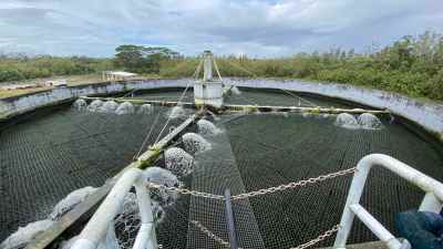 607,000 Gallons Of Wastewater Released Into Hilo Bay