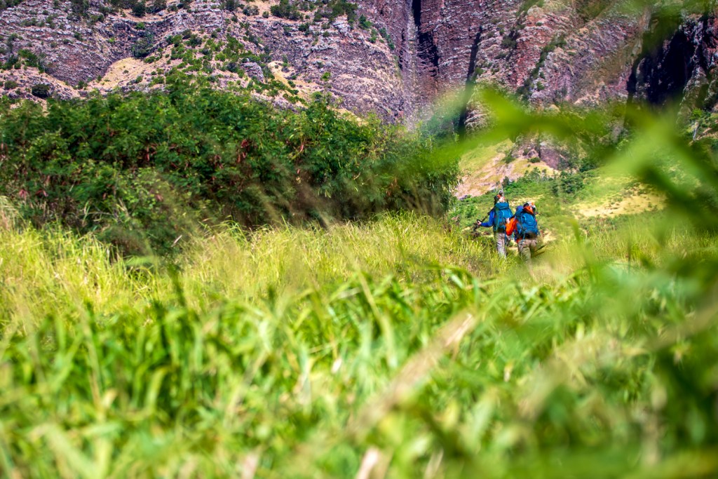 A crew heads out with equipment to work on a fire break in the Waianae mountains. (Nathan Eagle/Civil Beat/2023)