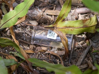 State Ag Agency On Track For Stricter Control Of Invasive Pests