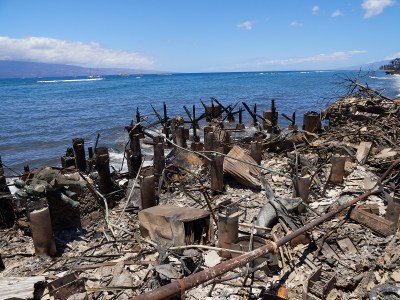 Maui Wildfire Lawyers Vying For $1 Billion Payday