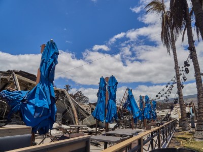 Lahaina Fires Leave Businesses And Livelihoods In Ruins