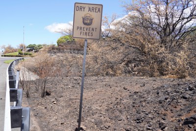 Invasive Species Are Radically Altering Hawaii’s Ecology