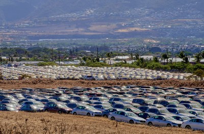 Economic Shocks From Wildfires Reverberate Across Maui