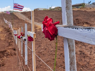 Lahaina Wildfire Death Toll Now At 102