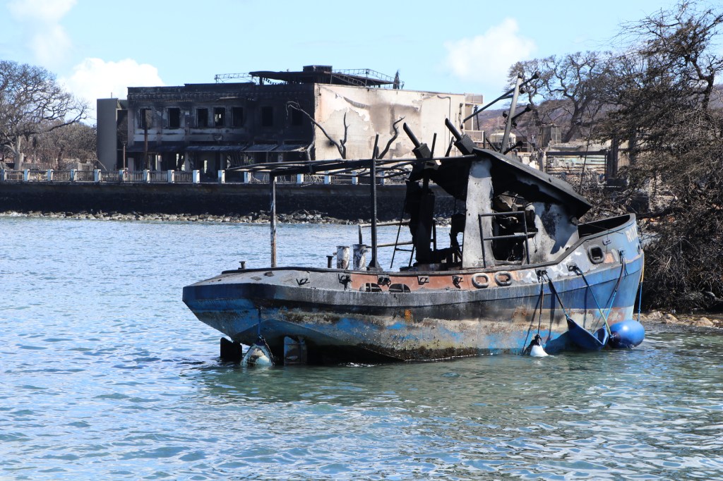 Lahaina fire - Lahaina Small Boat Harbor DOBOR Assessment, Aug. 15, 2023, photographs. (Courtesy of the DLNR)