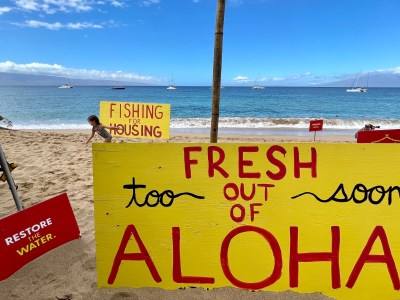Lee Cataluna: Phasing Out 7,000 Vacation Rentals On Maui Would Be A Sea Change