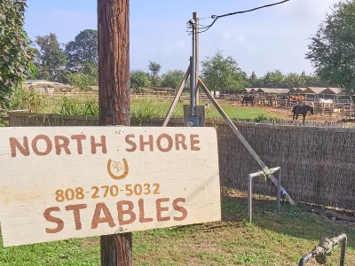 Fines Pile Up Over ATV Tours And Horseback Rides On North Shore Ag Land