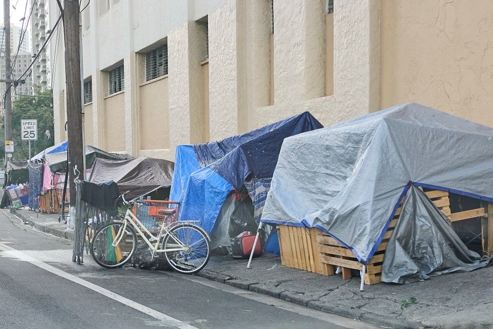 The Number Of People Living On The Streets Of Oahu Has Nearly Doubled ...