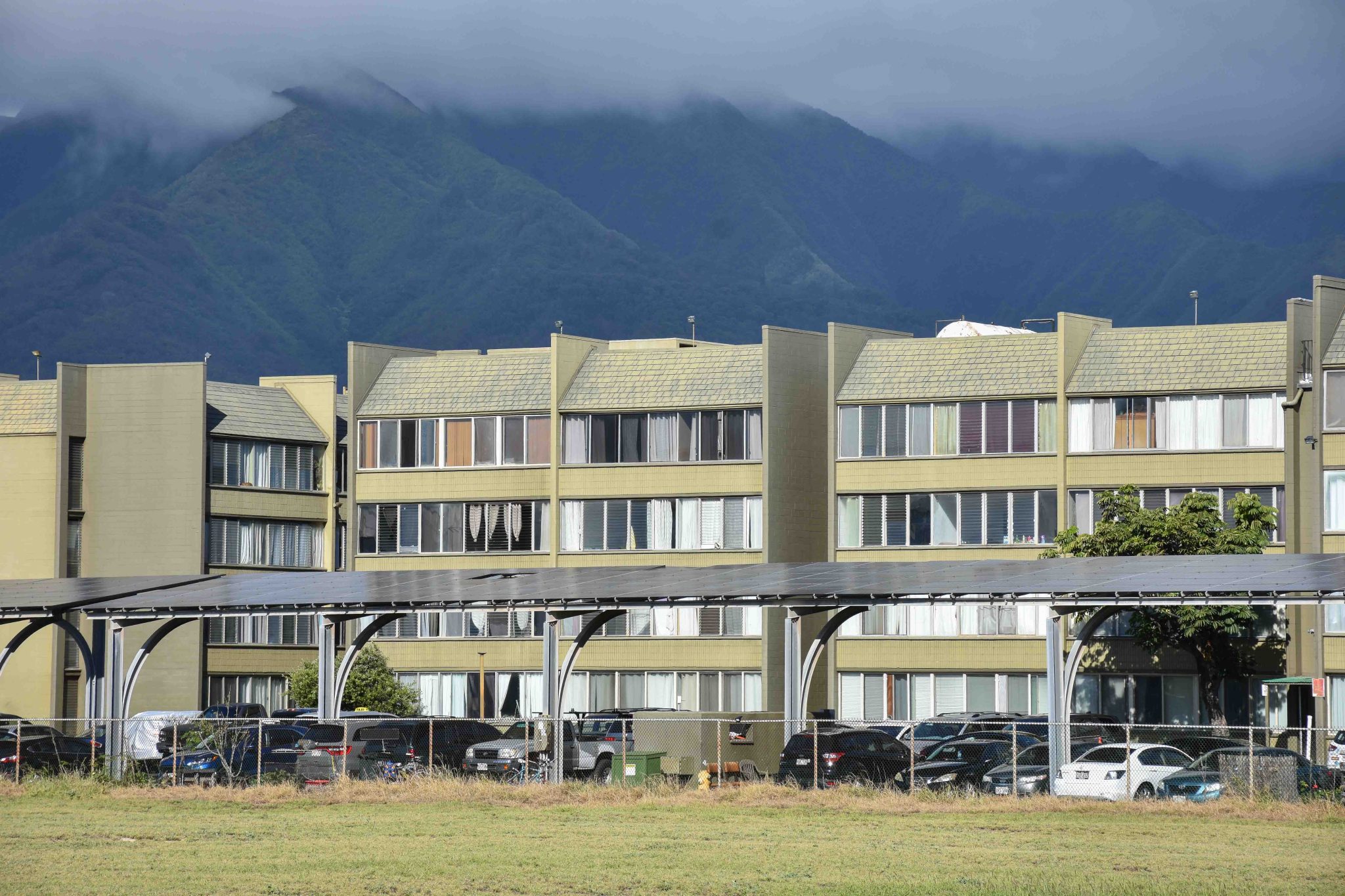 Harbor Lights Condominium in Kahului on Maui. (Cammy Clark/Civil Beat/2024)