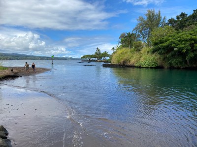 State Is Moving Ahead With Wailoa Harbor Dredging Project After Receiving Funding