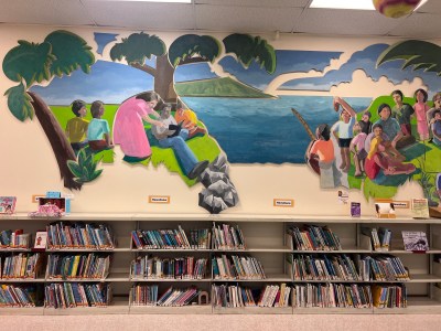 Catherine Toth Fox: Public Libraries Have Evolved To Remain As Vital As Ever