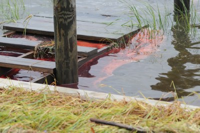 Not Just Red Hill: Hundreds Of Military Fuel Depots Threaten Environment And Public Health