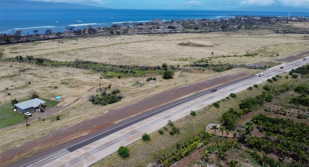 Land parcels near Hokikio Place in Lahaina. (Cammy Clark/Civil Beat/2024)