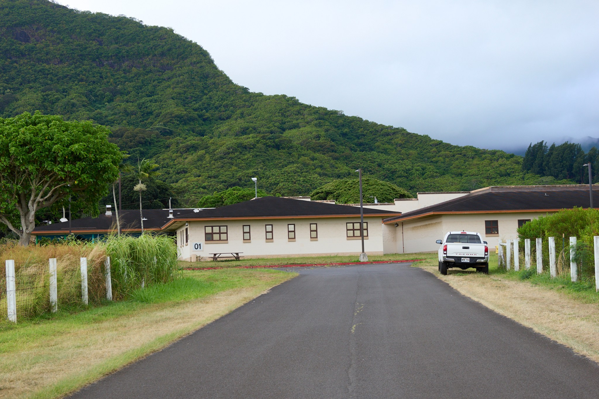 Plants, Banana Groves, Loi maintenance, Taro, signs and implements of agricultural benefit are all part of the Kupa ‘Aina program being carried out at the Hawaii Youth Correction Facility in Kailua. Photographed July 19th, 2024.(David Croxford/CivilBeat/2024)