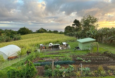Is Growing Your Own Food Considered Agriculture? Hawaii County Says No