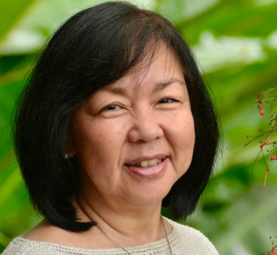 Maui Council Candidate Wants State Supreme Court To Void Election