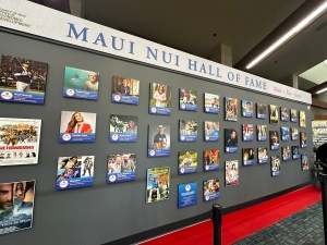A Maui County Appointee Oversaw Grants To Nonprofits Tied To Her Family Members