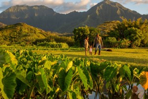 Kauaʻi Lawmakers Target Housing, Recreation Woes In 2025 Session