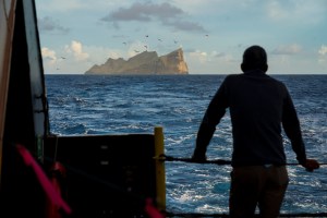 Will NOAA’s Race To Make Papahānaumokuākea A National Sanctuary Survive Trump?