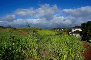 Department Of Hawaiian Home Lands Looks At New Lots To Reduce Waitlist
