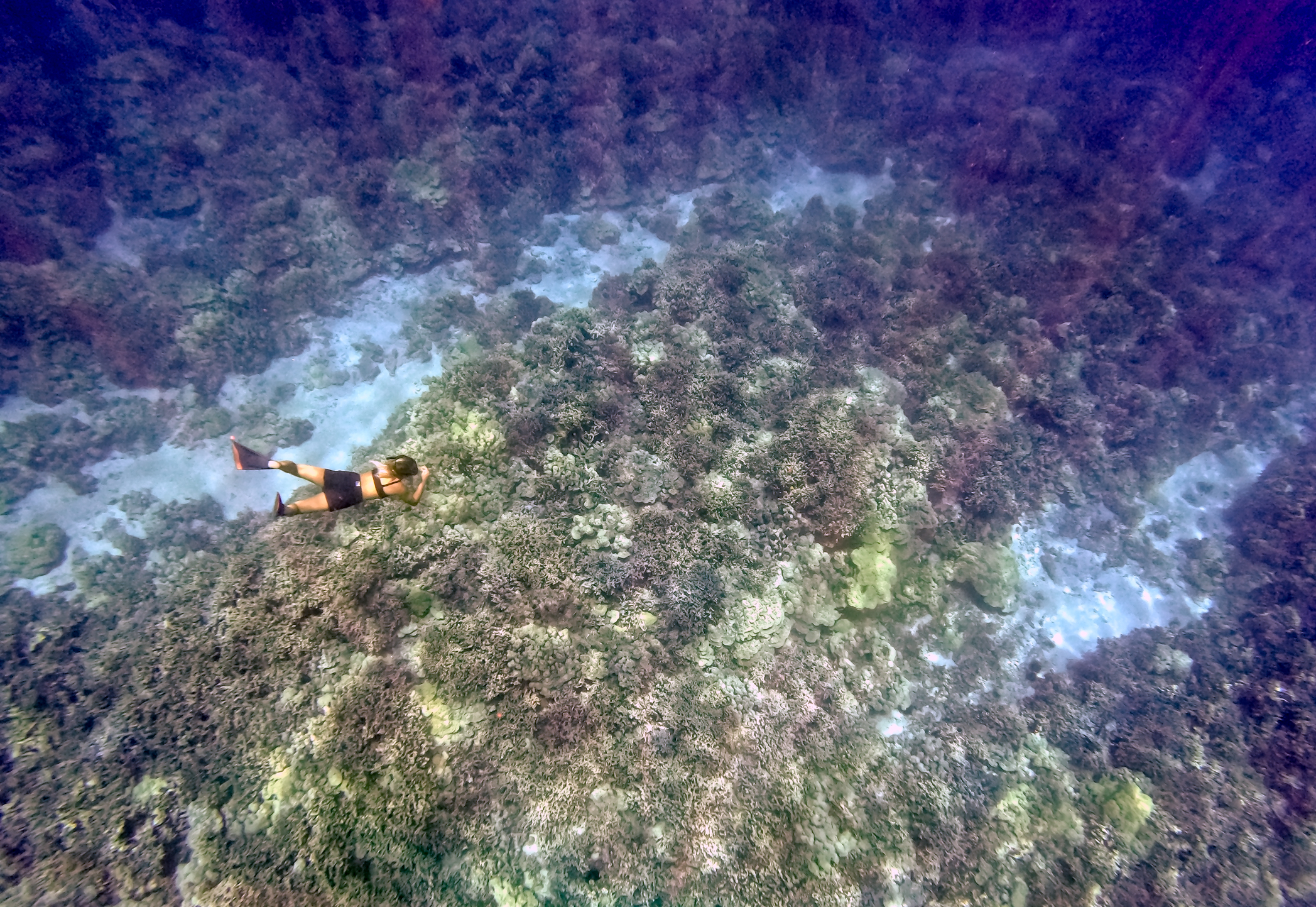 Hawaii's Love Affair With Cesspools Is Ruining Its Reefs