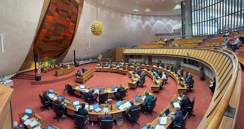 Views from both the House of Representatives and the Senate, photographed April 30th, 2025.  Discussion during the recesses and during each of the bills under discussion.(David Croxford/Civil Beat/2025)