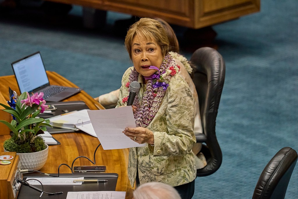 Views from both the House of Representatives and the Senate, photographed May 2nd, 2025.  Discussion during the recesses and during each of the bills under discussion plus the House press conference featuring the Speaker of the House and other representatives(David Croxford/Civil Beat/2025)