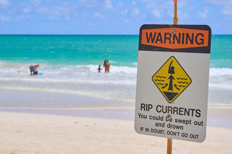 January 2026: Anti-Drowning Efforts