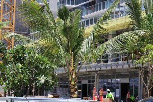 Invasive Species: Hawaiʻi Primes Itself To Battle Biosecurity Threats
