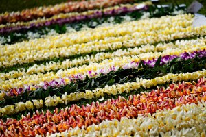That Purple Hawai‘i Vacation Lei Likely Came From Thailand. Lawmakers Want To Change That