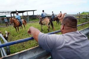 Data Dive: Farmworkers Earn Well Over Minimum Wage But Not Enough For Hawai‘i