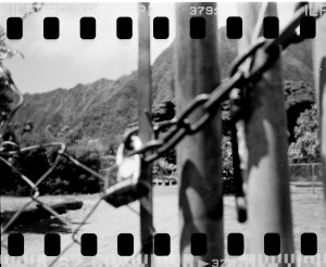 Civil Beat Series On Abusive Hawaiʻi Foster Dad Wins National Award