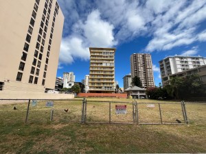 Fix It! Roosters Love The Waikīkī High Life But Neighbors Don’t Love Them