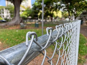 Fix It! Punahou Square Park Has Seen Better Days