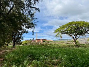 What Toxic Legacy Did This Abandoned Sugar Mill Leave Behind?