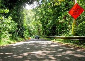 Fix It! The Rough Ride Up Round Top Drive And Tantalus Road Needs Smoothing